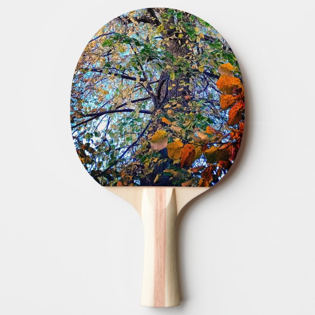 Raquete De Ping Pong Mudança nas folhas (Frente)