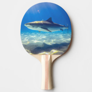 Raquete De Ping Pong Nadação de tubarões no oceano azul