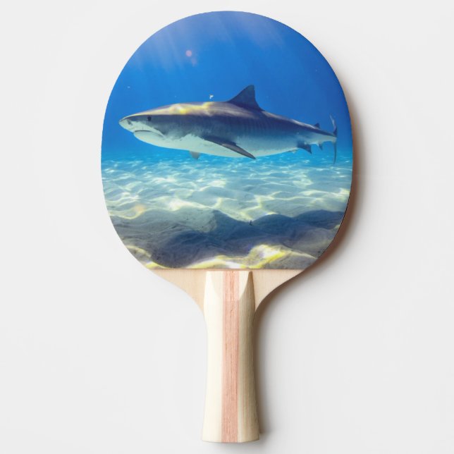 Raquete De Ping Pong Nadação de tubarões no oceano azul (Frente)