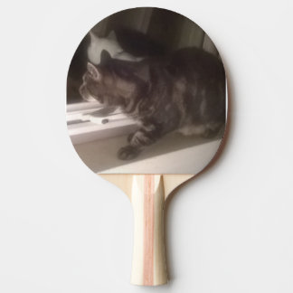 Raquete De Ping Pong Não estou falando com Dave Ping Pong Paddle
