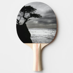 Raquete De Ping Pong Natureza Fotografia preto e branco