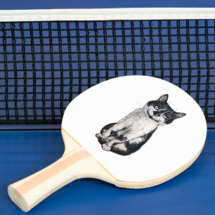 Raquete De Ping Pong Ogie, o gato