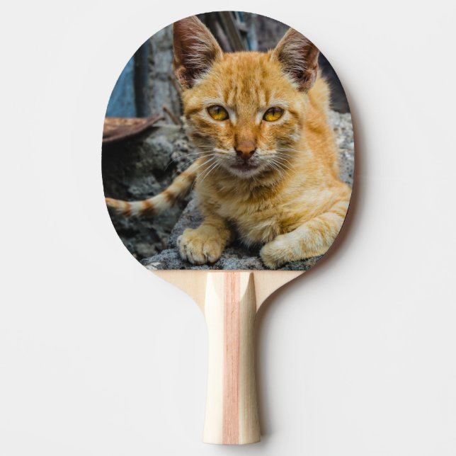 Raquete De Ping Pong Olhos de ouro (Frente)