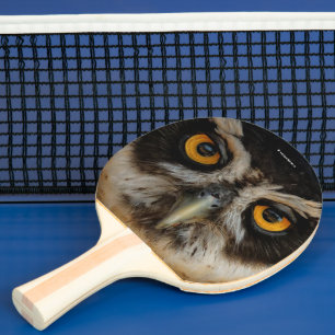 Raquete De Ping Pong Olhos em Ouro Mesmerizantes de uma Coruja Espetaca