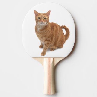 Raquete De Ping Pong Orange Cat