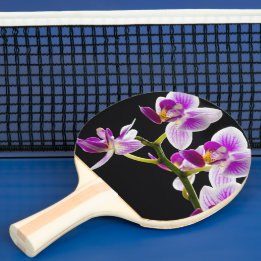 Raquete De Ping Pong Orquídea branca e roxa