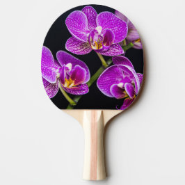 Raquete De Ping Pong Orquídea roxa