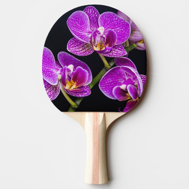 Raquete De Ping Pong Orquídea roxa (Verso)