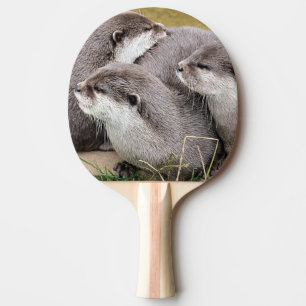 RAQUETE DE PING PONG ÓTULOS CUTOS