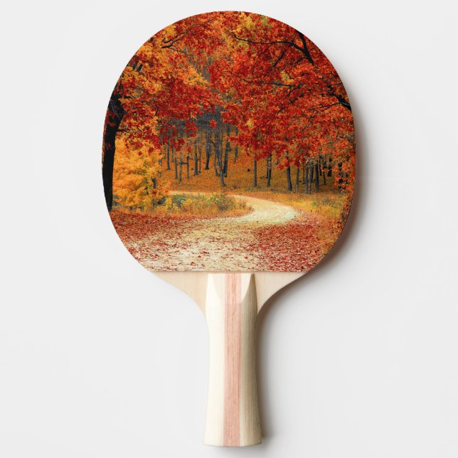 Raquete De Ping Pong outono na floresta (Frente)