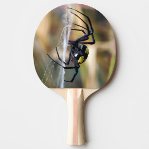 Raquete De Ping Pong Pá de Pong do sibilo da aranha de jardim do