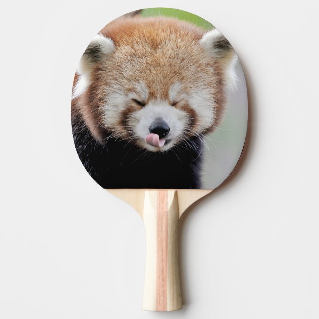 Raquete De Ping Pong pá pingue-pongue Photo red panda, animais. (Frente)