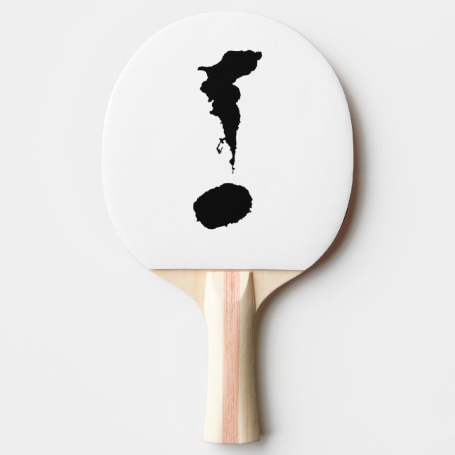 Raquete De Ping Pong Paddle Pickleball (Frente)