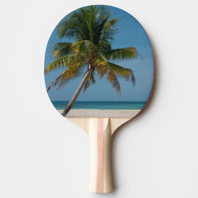Raquete De Ping Pong Palmeira e praia de areia branca 2 (Frente)