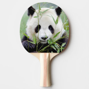 Raquete De Ping Pong pás pingue-pongue Panda gigante fotográfica, ani