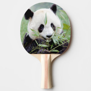 Raquete De Ping Pong pás pingue-pongue Panda gigante fotográfica, anima