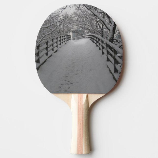 Raquete De Ping Pong Passadiço (Frente)