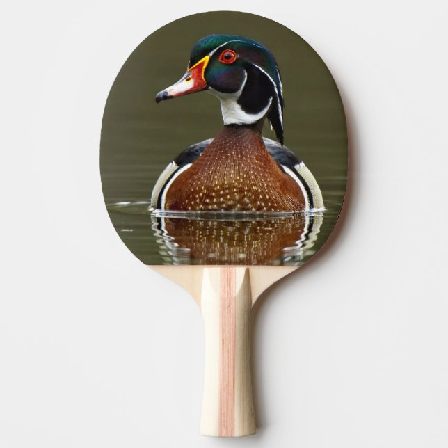 Raquete De Ping Pong Pato de madeira na água (Frente)