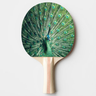 Raquete De Ping Pong Peacock Strut