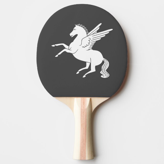 Raquete De Ping Pong Pegasus (Frente)