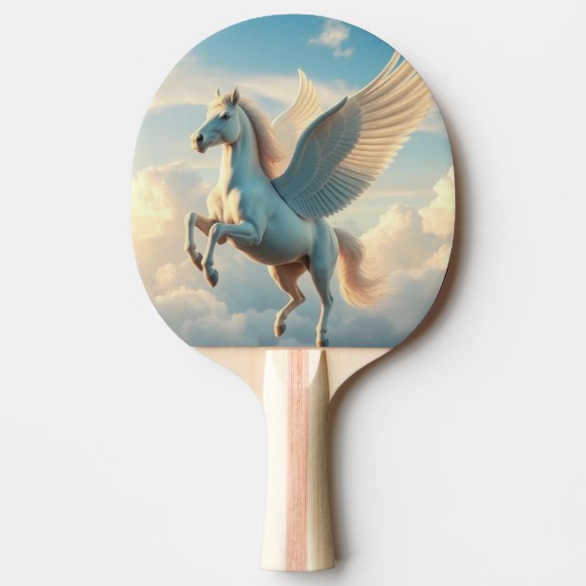Raquete De Ping Pong Pegasus (Frente)