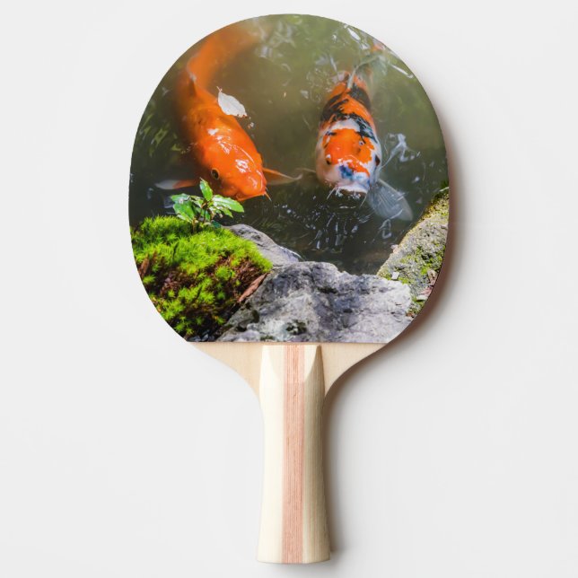 Raquete De Ping Pong Peixe Koi numa lagoa (Frente)