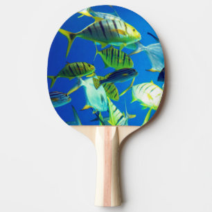Raquete De Ping Pong Peixe Marinho Amarelo com Listras Pretas