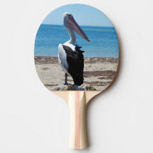 Raquete De Ping Pong Pelican Perch Em Um Rock Praia,