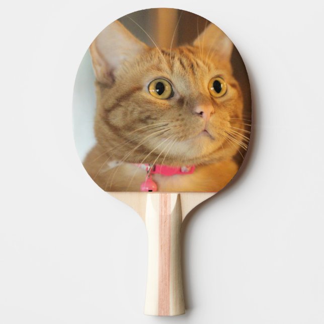 Raquete De Ping Pong Penny bonito (Frente)
