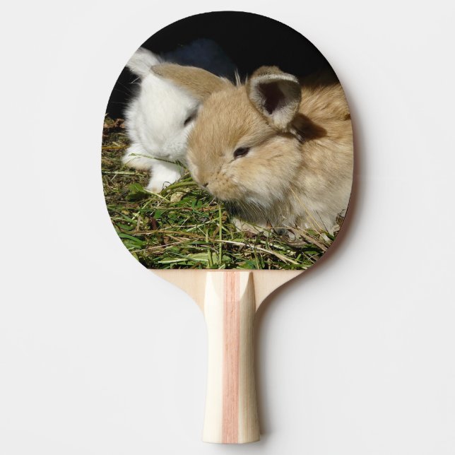 Raquete De Ping Pong Pequenos coelhos fofos bonitos (Frente)