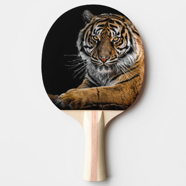 Raquete De Ping Pong Ping Pong Paddle com Loin Design (Frente)