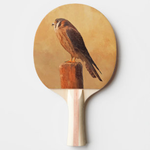 Raquete De Ping Pong Pintura em Kestrel Americano - Arte original sobre