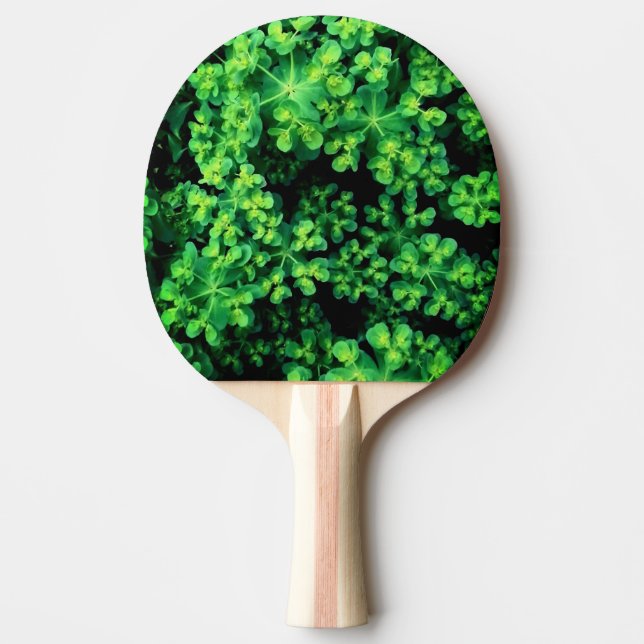 Raquete De Ping Pong Planta de bobina (Frente)