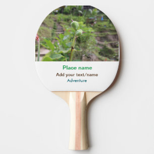 Raquete De Ping Pong Plantas naturais fotografia água de praia viagem