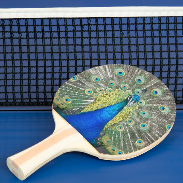 Raquete De Ping Pong Plumagem de Peste Azul (Insitu)