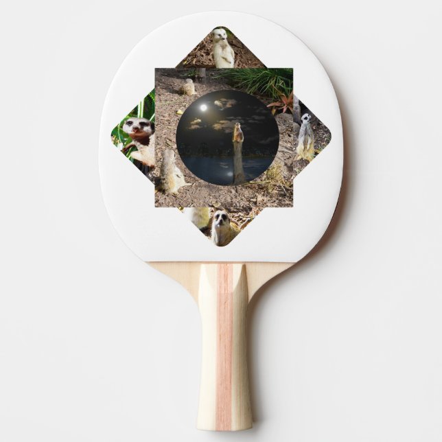 Raquete De Ping Pong Poliescopio de suricata,  (Frente)