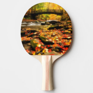 Raquete De Ping Pong Ponte de madeira e angra na queda