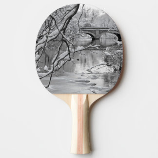 Raquete De Ping Pong Ponte do arco sobre o rio congelado no inverno