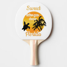 Pôr do sol bonito na Flórida