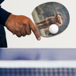 Raquete De Ping Pong Prados de outono de vitelo das vacas de montanha