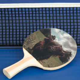 Raquete De Ping Pong Prados negros e pastagens de vaca escocesa