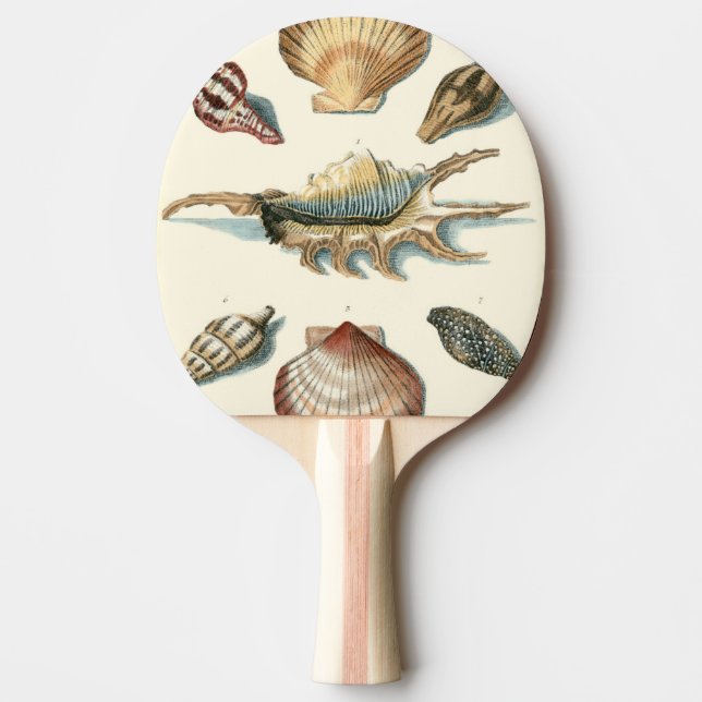 Raquete De Ping Pong Praia da Shell Rico (Frente)