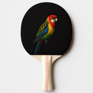 Raquete de ping pong preta 4 Luxe, Rosella Orienta