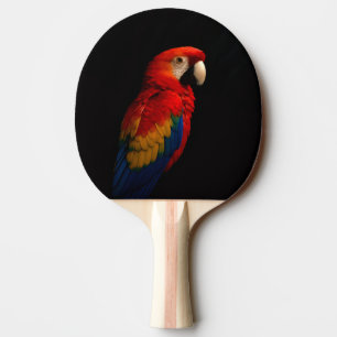 Raquete De Ping Pong Preto 4, pá-pingue-pongue, papagaio-escarlate