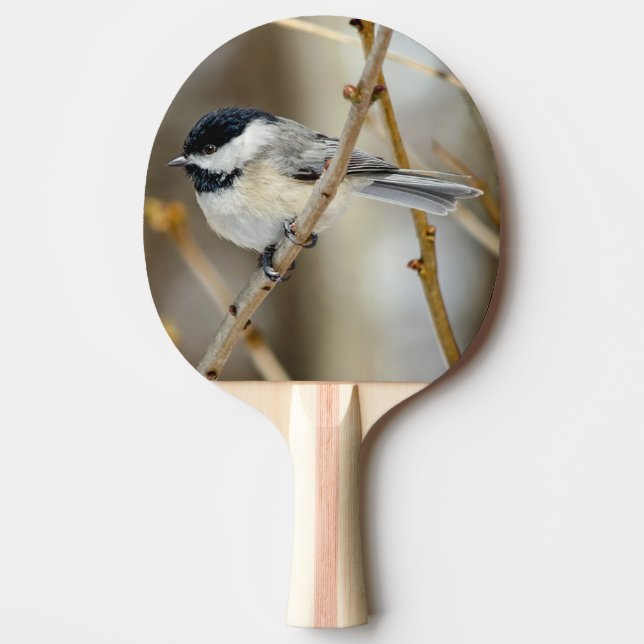 Raquete De Ping Pong Preto Pino Pino Pino Pino Ping Pickadee (Frente)