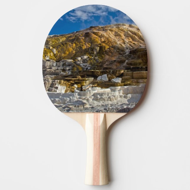 Raquete De Ping Pong Primavera quente gigantesco (Frente)