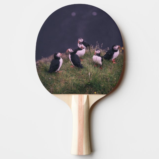 Raquete De Ping Pong Puffins Atlântico (Verso)
