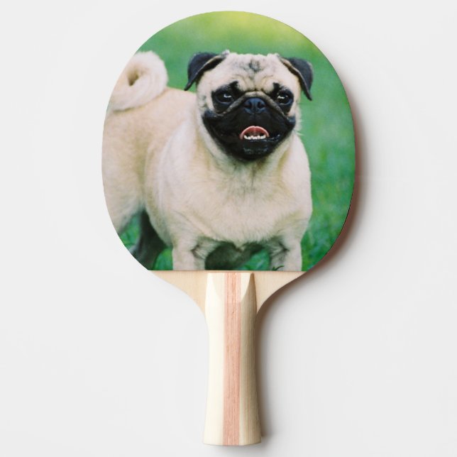 Raquete De Ping Pong pug-30.jpg (Frente)
