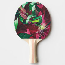 Purple Clematis Floral