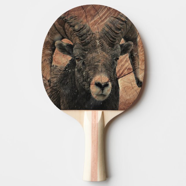 Raquete De Ping Pong Ram (Frente)